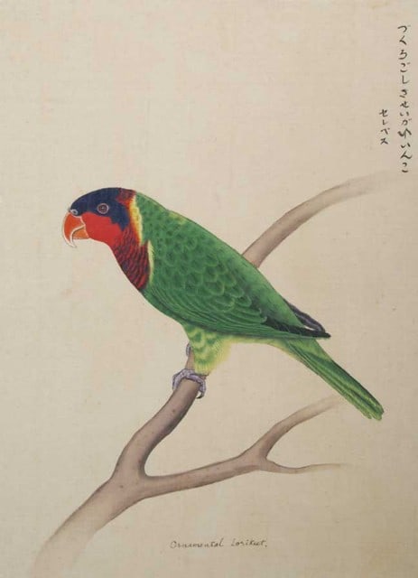 Woodblock Print Dutch Parrot Bird Art Style Japanese Natural History: Woodblock Print Dutch Parrot Bird Art Style Japanese Natural History Item Specifics: Subject: Parrot Natural History Material: Washi Paper Style: Japanese Year Of Production: 2010 Product Disclaimer: 