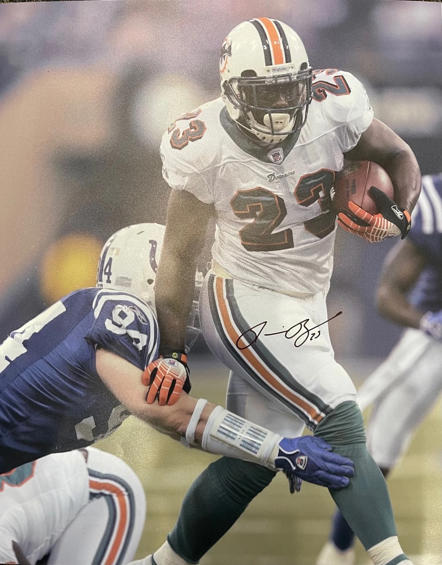 Ronnie Brown Autographed 16x20 Football Photo (1 of 1)
