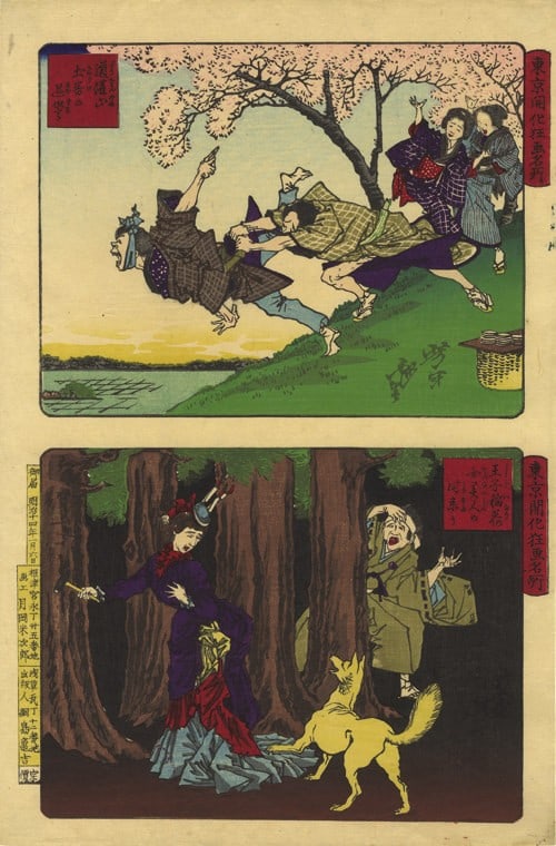 Oji Dokanyama Tokyo Kaika Meisho Inari Yoshitoshi 1881 Woodblock Print: Oji Dokanyama Tokyo Kaika Meisho Inari Yoshitoshi 1881 Woodblock Print Item Specifics: Artist: Tsukioka Yoshitoshi Subject: Landscape Cherry Blossoms Shrines Material: Washi Paper Ink Style: Japanese