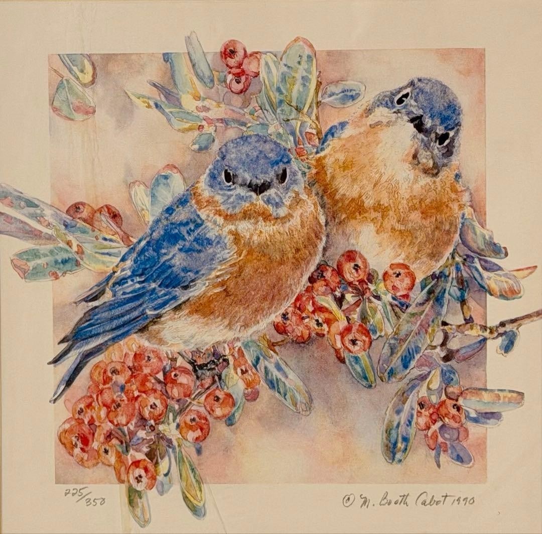 Blue Birds Bird Botanical Art Signed Framed 1990 Mary Lithograph (1 of 5)