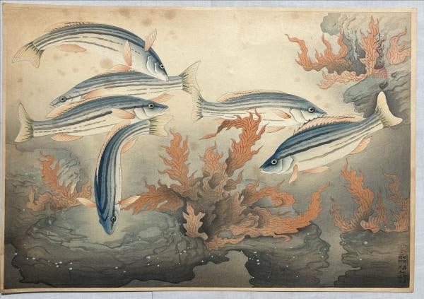 Bakufu Ohno Woodblock Print Shimaisagi Crescent Grunter 1938 Shin Hanga Fish: Bakufu Ohno Woodblock Print Shimaisagi Crescent Grunter 1938 Shin Hanga Fish Item Specifics: Artist: Bakufu Ohno Subject: Fish Marine Life Material: Washi Paper Style: Japanese Year Of Production: