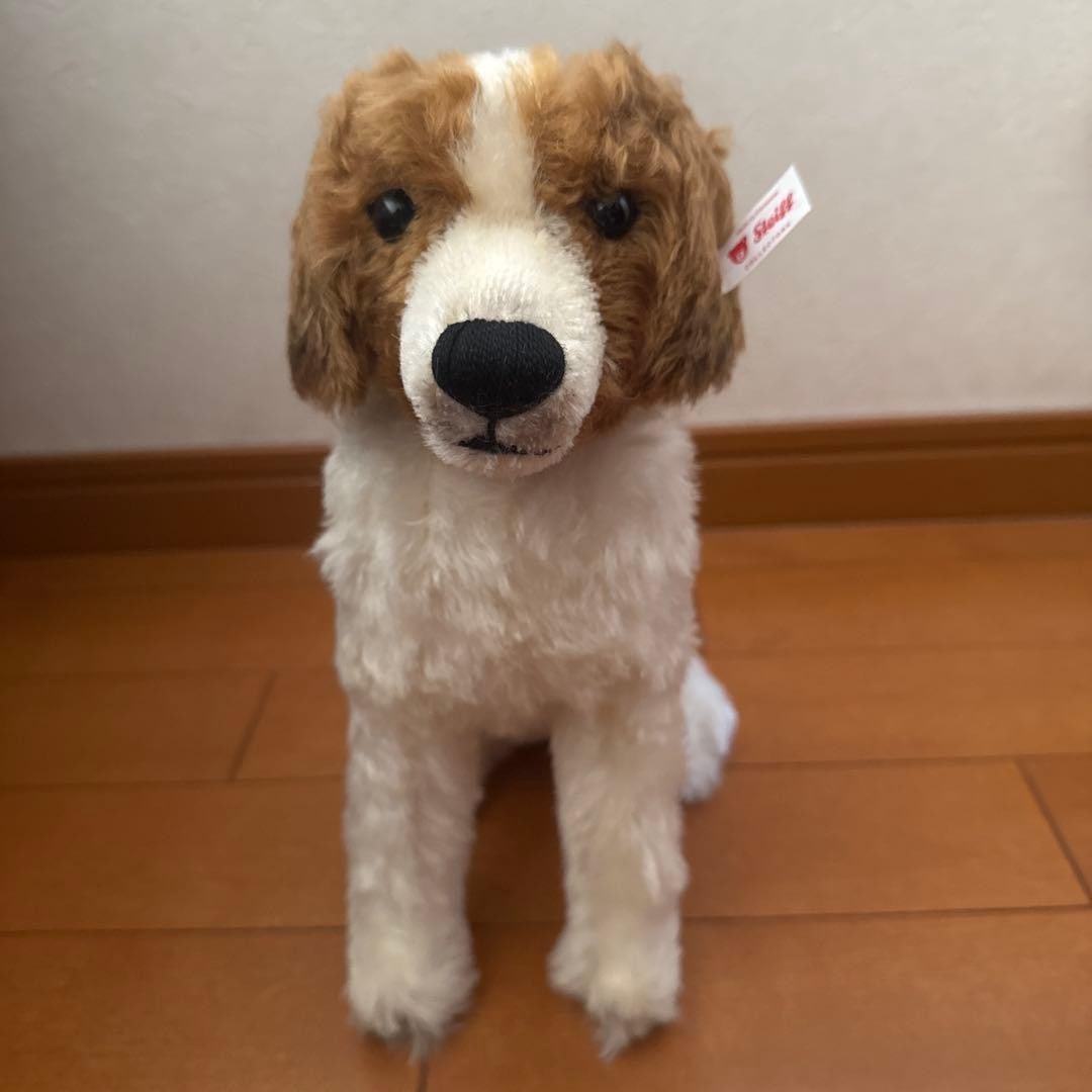 Steiff Kooikerhondje Dog Plush Limited 2024 Mohair 25cm Japan Numbered Rare (1 of 13)