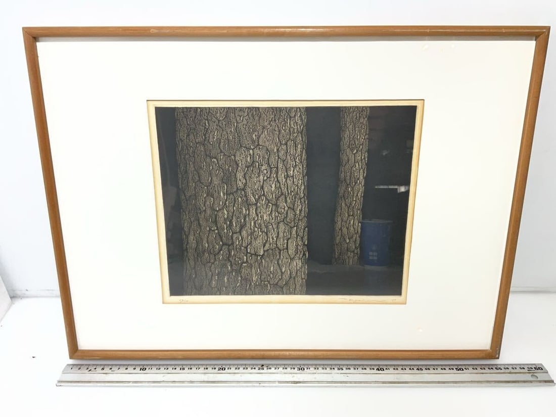Ryohei Tanaka Pine Trunk Etching 1967 Hand Signed ED 64/ 100 Framed Authentic Art: Ryohei Tanaka Pine Trunk Etching 1967 Hand Signed ED 64/ 100 Framed Authentic Art Item Specifics: Unit Of Sale: Single Piece Artist: Ryohei Tanaka Signed By: Ryohei Tanaka Image Orientation: Landscape