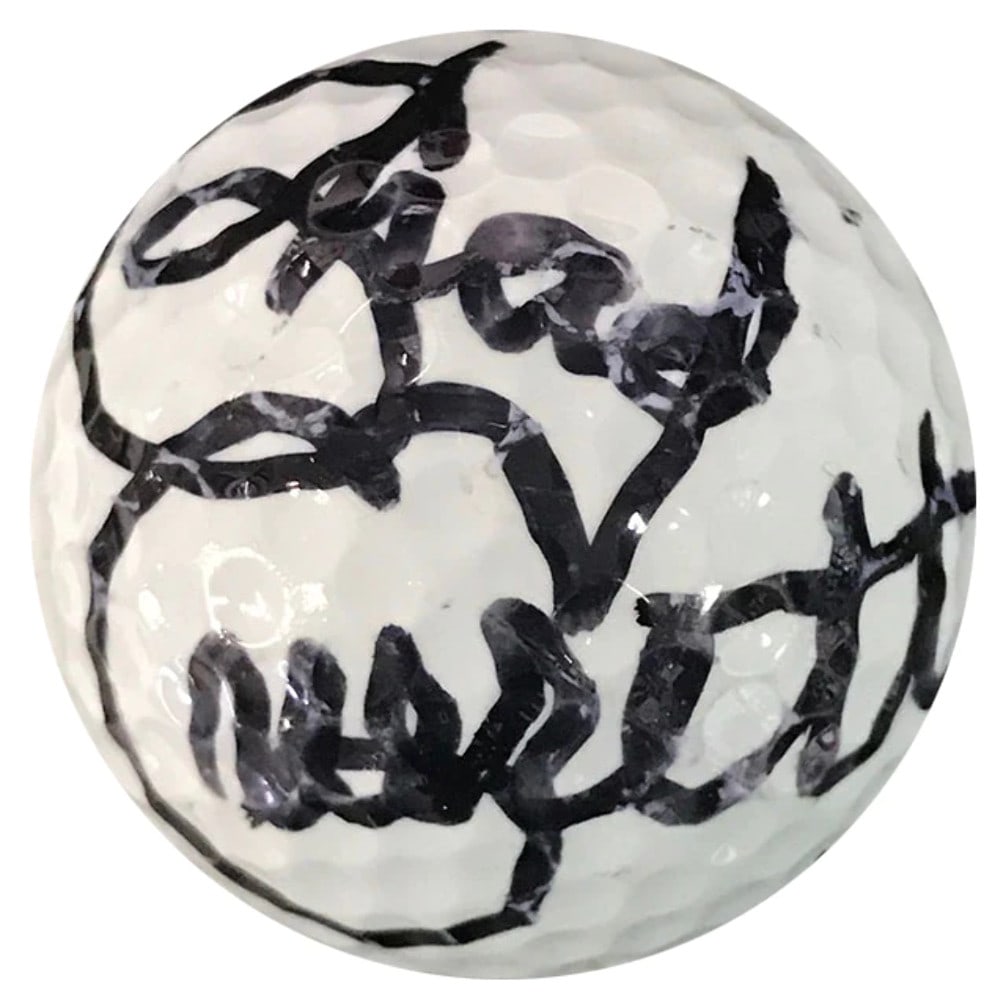 Everett Autographed Top Flite 1 XL 2000 Golf Ball Chad (1 of 1)