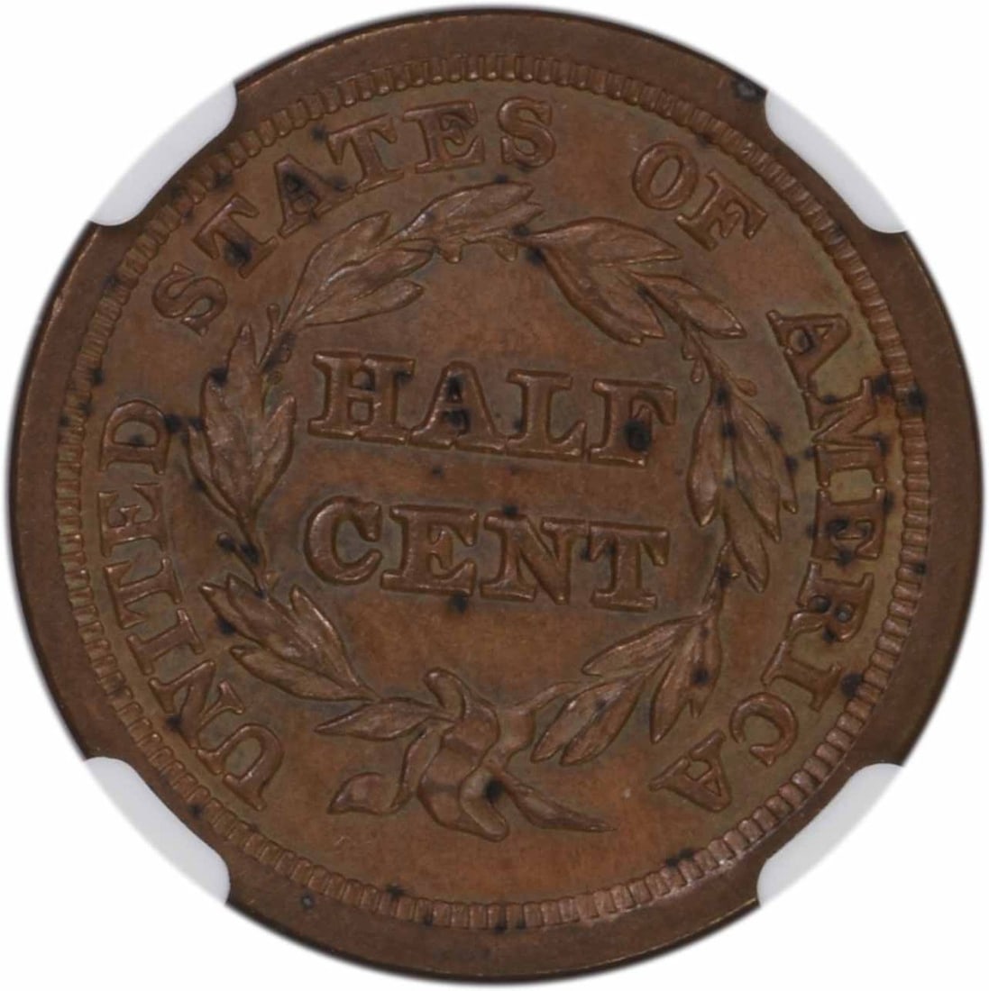 Half Cent MS62BN NGC - 3