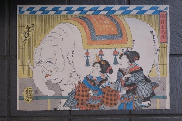 Woodblock Elephant Print Yoshitora Somei Chrysanthemum Utagawa 1844 Kingoro (1 of 6)