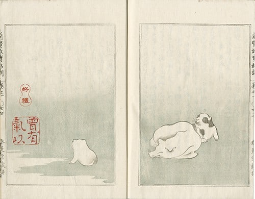 1852 Zenken Kojitsu Shikun Woodblock Books 9 Vols Kikuchi Yosai Edo Art Japan (1 of 1)