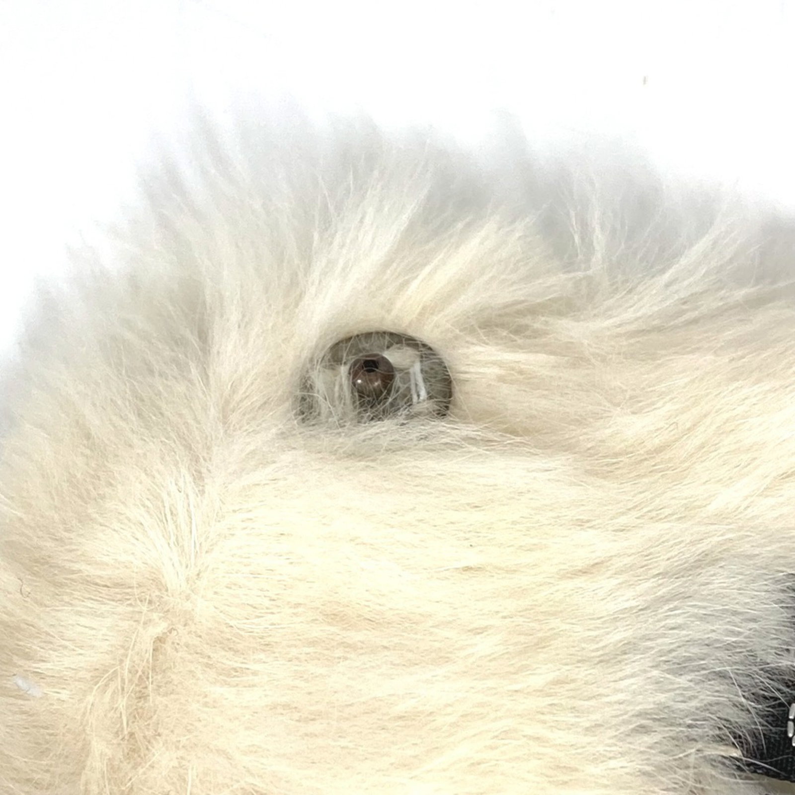 Bangle Fur Chanel - 8