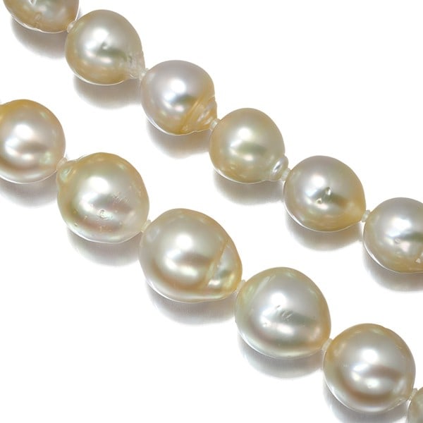 Light Golden South Sea Pearl 9.9-12.2Mm Necklace Silver: Light Golden South Sea Pearl 9.9-12.2Mm Necklace Silver The Light Golden South Sea Pearl 9.9-12.2Mm Necklace Silver boasts a stunning 44cm silver necklace adorned with a beautiful yellow gold-coated l