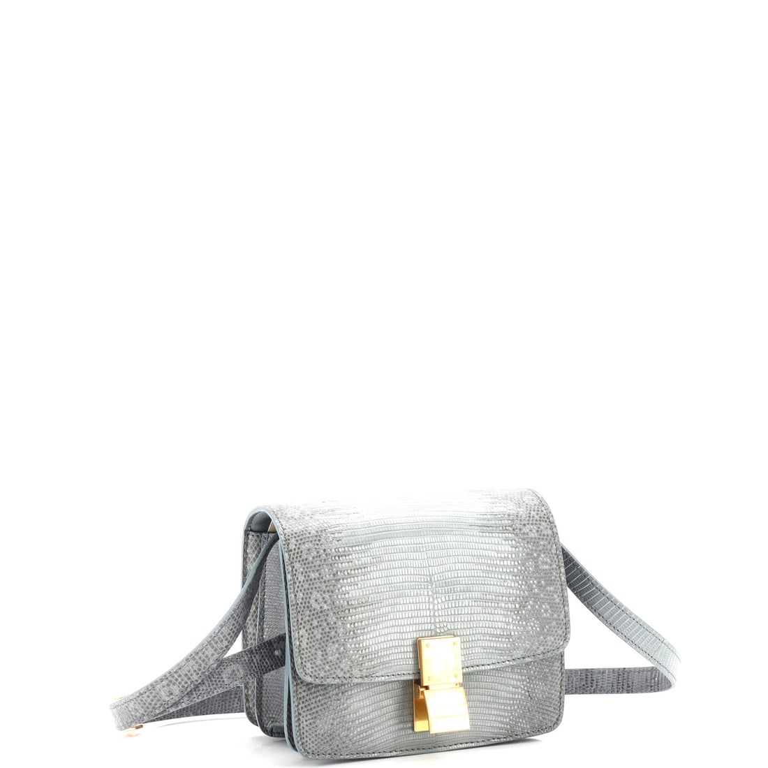 Small lizard box bag classic Celine - 2