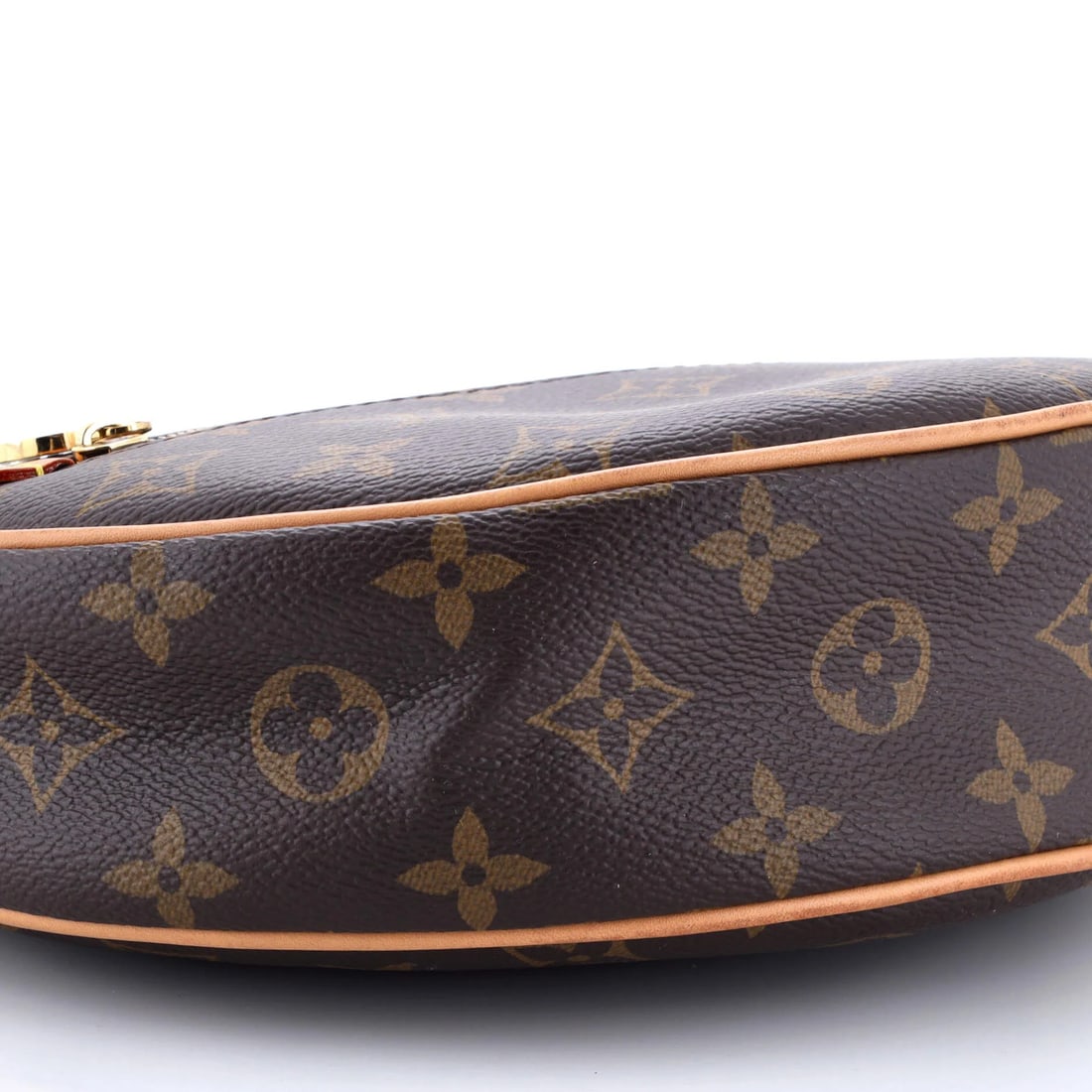 Handbag Monogram Louis Vuitton Canvas Loop - 6