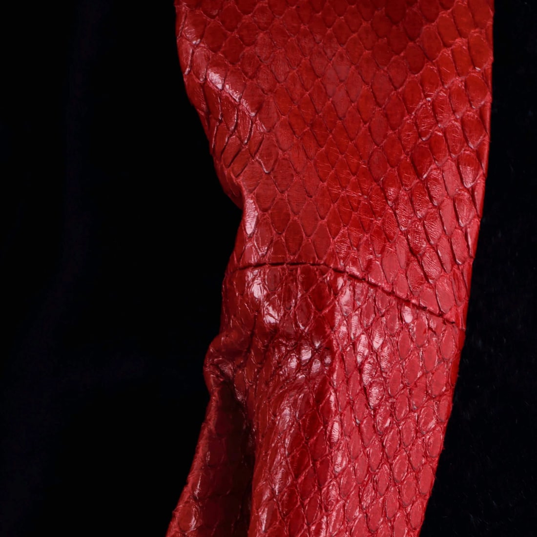 Hobo Velvet with Python Row Small Wander - 7