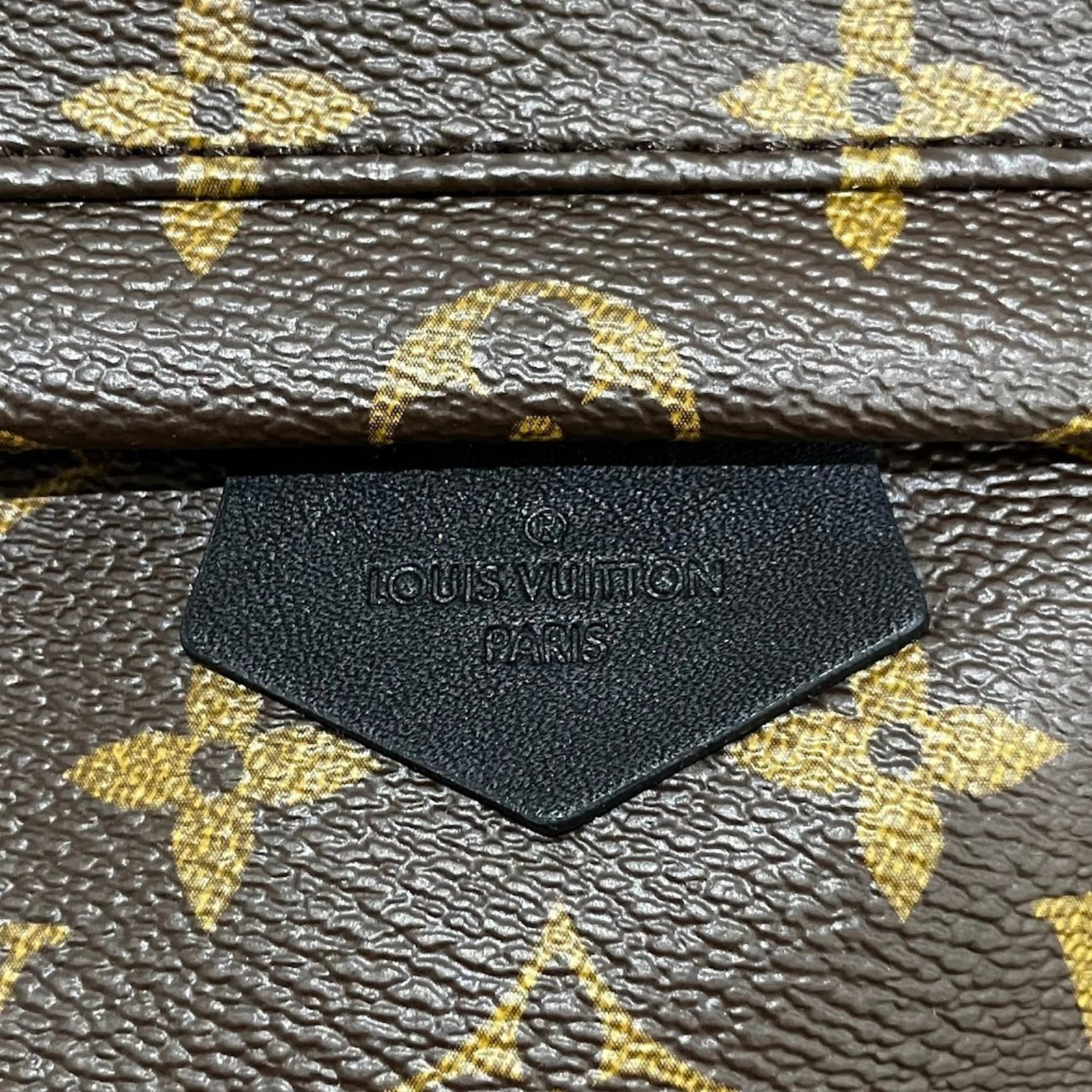 PVC Backpack Louis Vuitton - 9