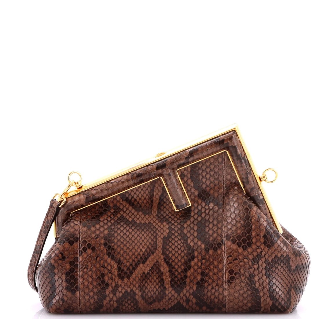 Python small bag first fendi (1 of 6)