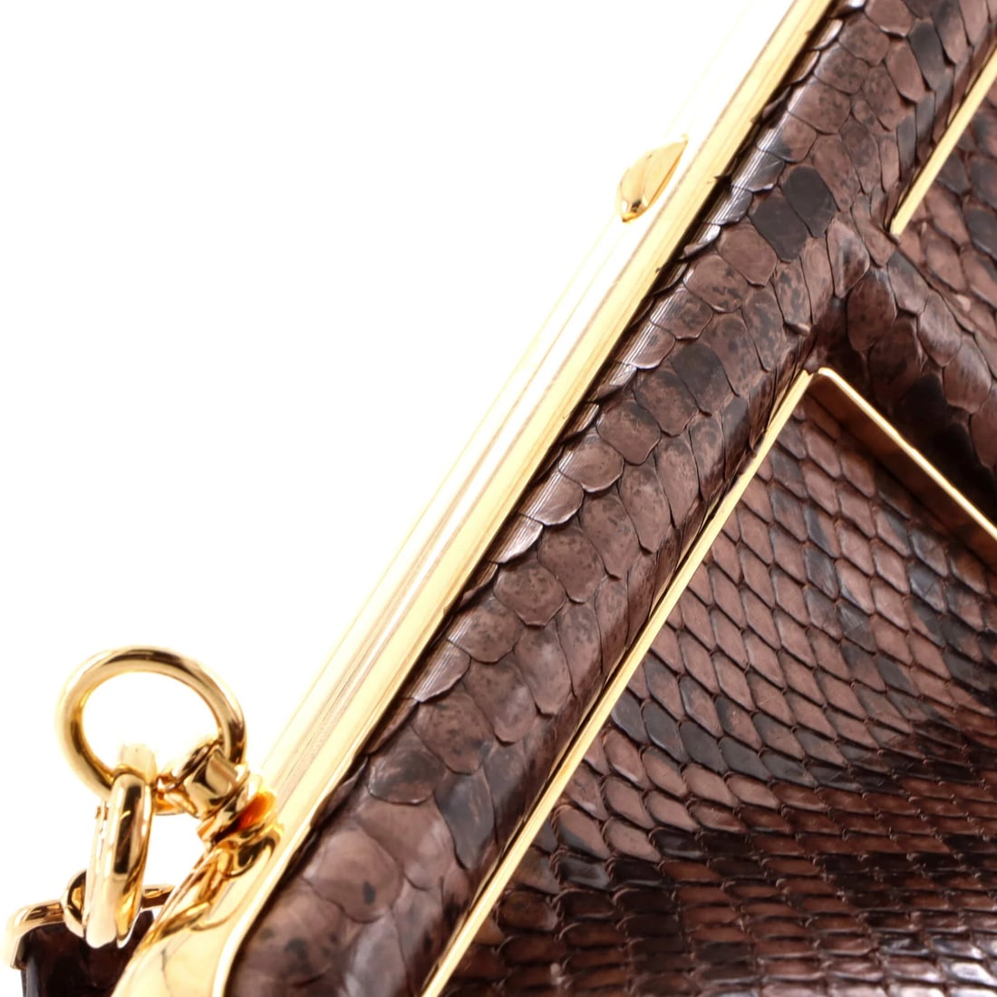 Python small bag first fendi - 6