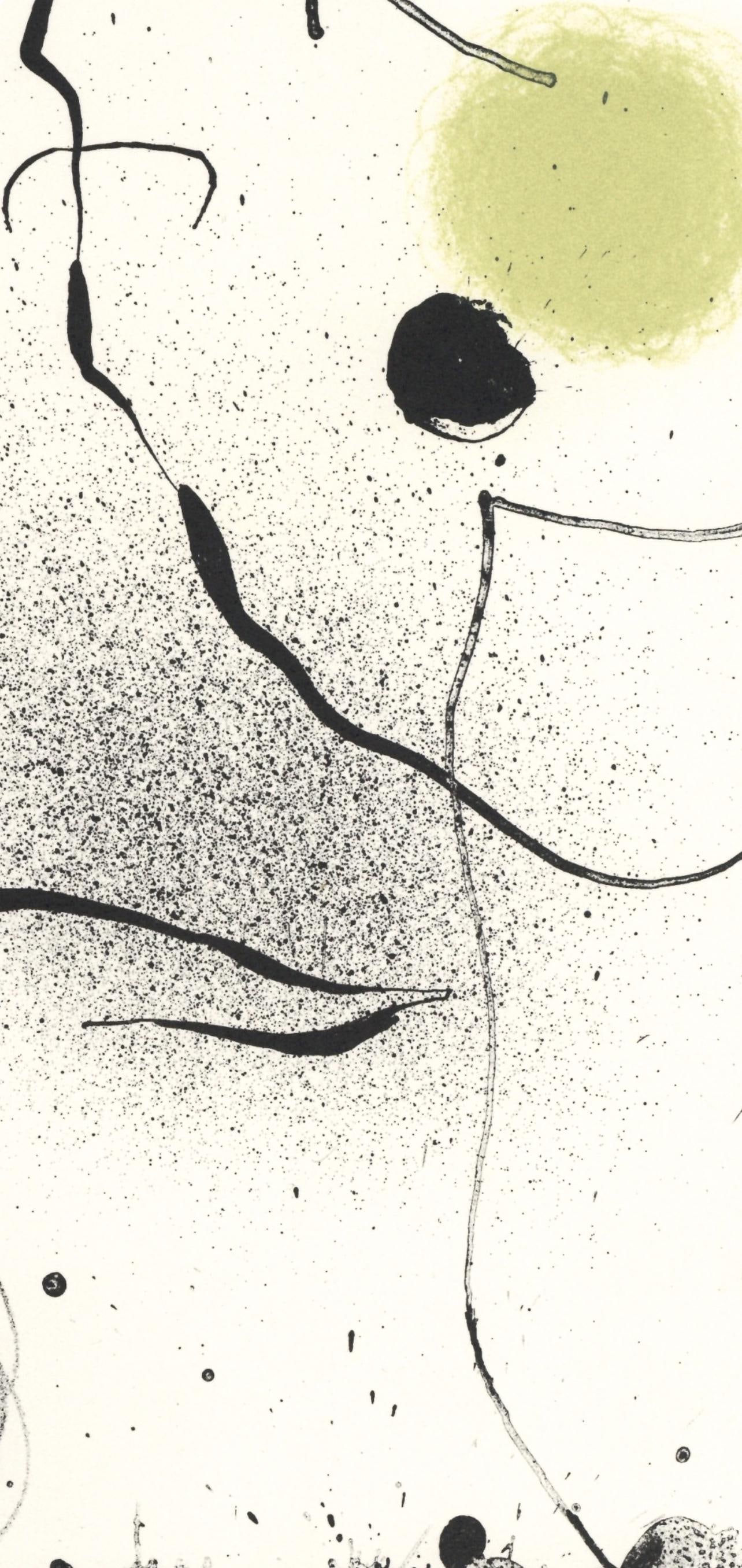 Joan Mir, Composition, XXe sicle, Lithograph - 4