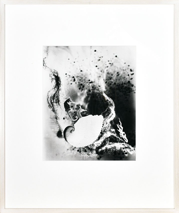 Nakayama Hibernation Gelatin Iwata Silver Print Photo Signed AP (1 of 5)