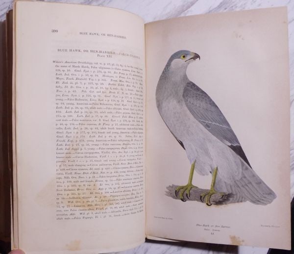 1832 American Ornithology Alexander Wilson 3 Vols Bonaparte/ Jardine Edition: 1832 American Ornithology Alexander Wilson 3 Vols Bonaparte/ Jardine Edition Item Specifics: Binding: Leather Language: English Special Attributes: Illustrated 1st Edition Author: Alexander Wilson (17