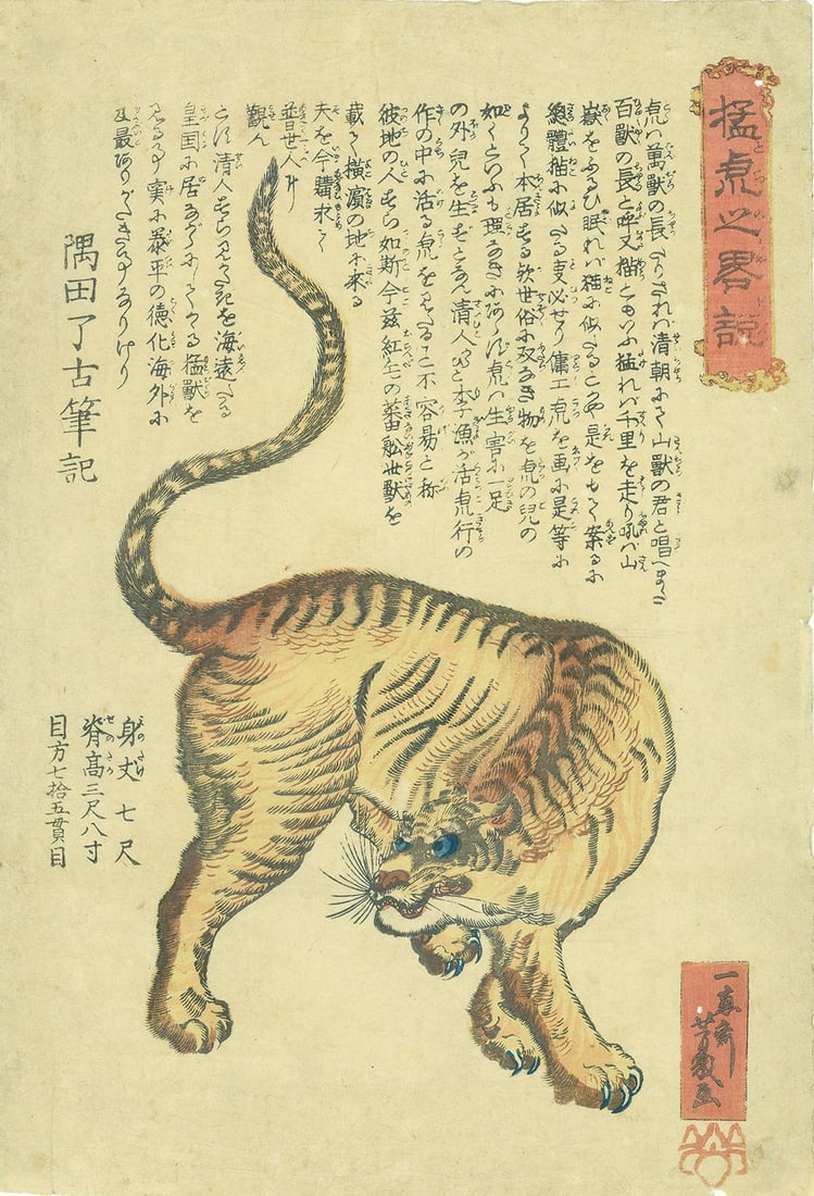 Meiji Era Tiger Illustration by Ochiai Yoshiiku on a Japanese Woodblock Print: Meiji Era Tiger Illustration by Ochiai Yoshiiku on a Japanese Woodblock Print Item Specifics: Artist: Ochiai Yoshiiku Subject: Tiger Material: Paper Style: Japanese Size: 37.1 x 25.4 cm Product Discla