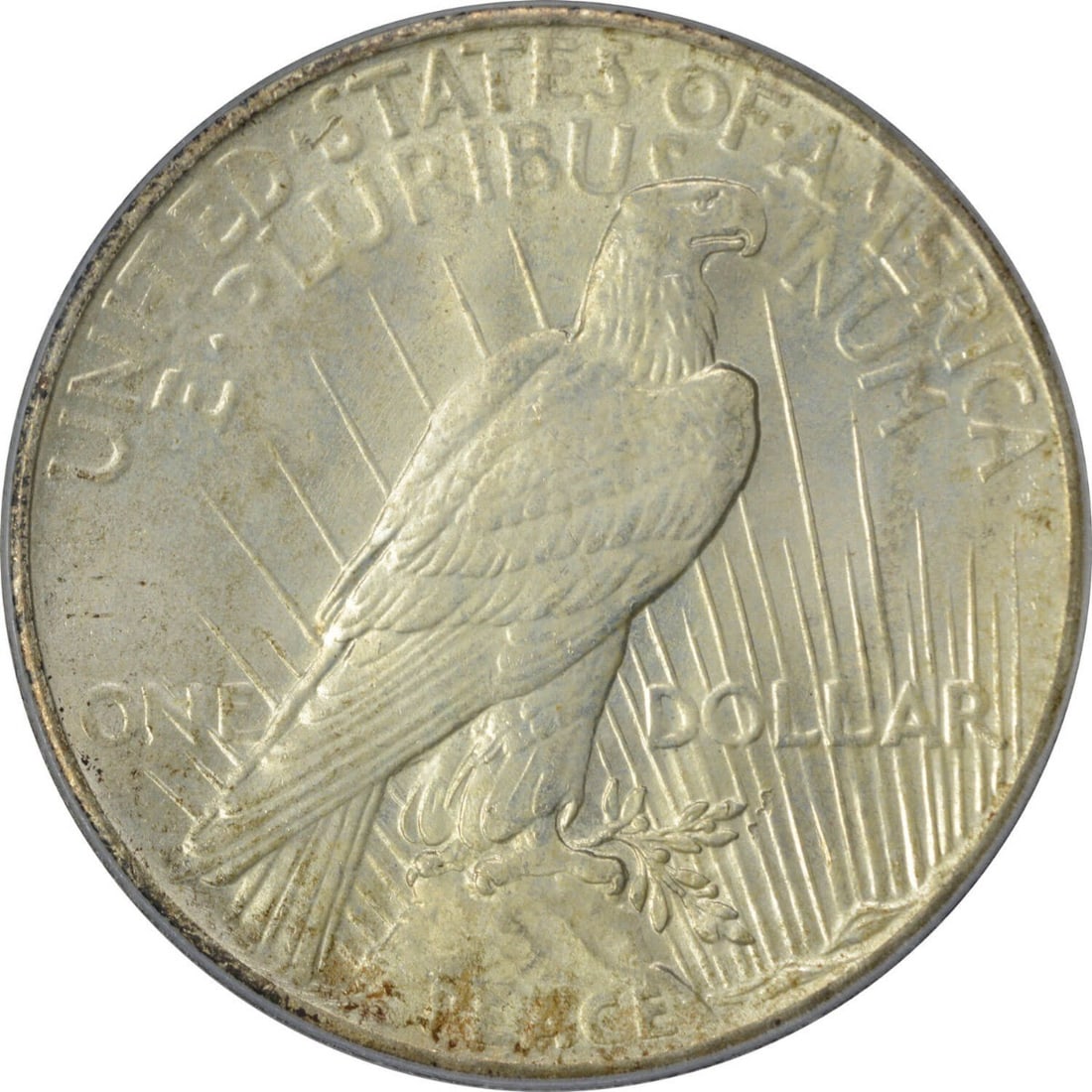 MS66 PCGS Silver Dollar 1925 - 2