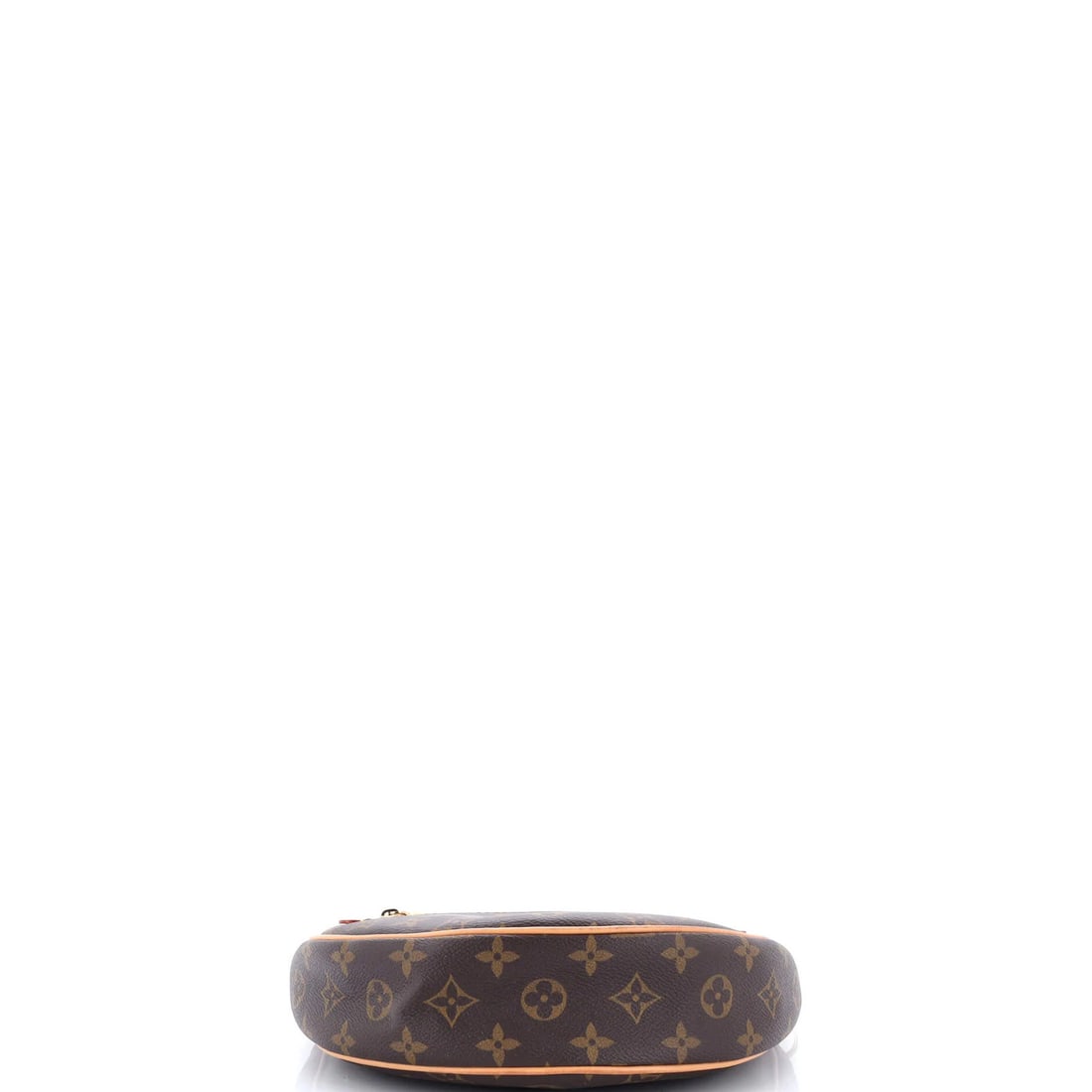 Loop Handbag Monogram Canvas Louis Vuitton - 4