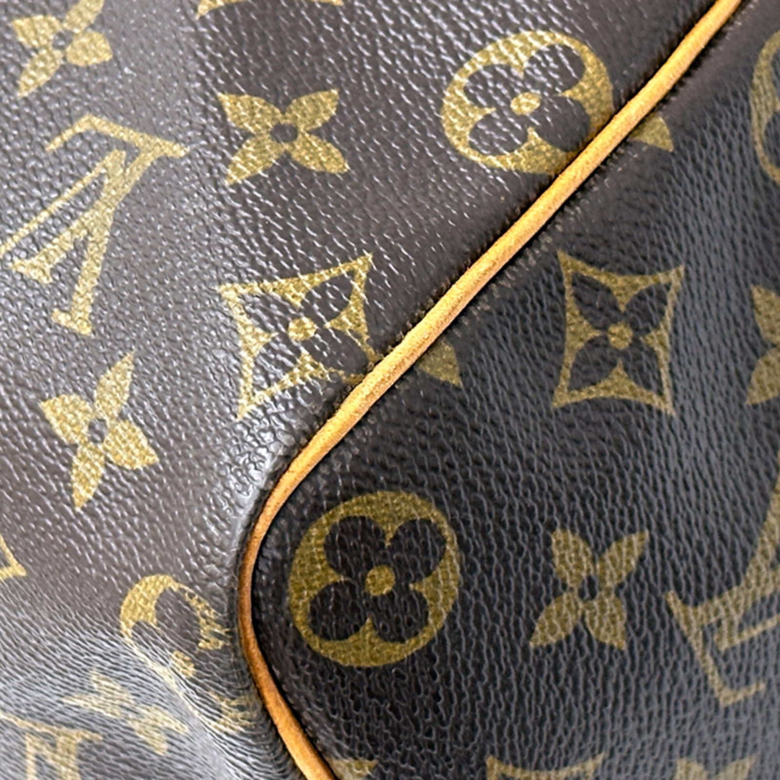 Vuitton Handbag Monogram Louis - 12