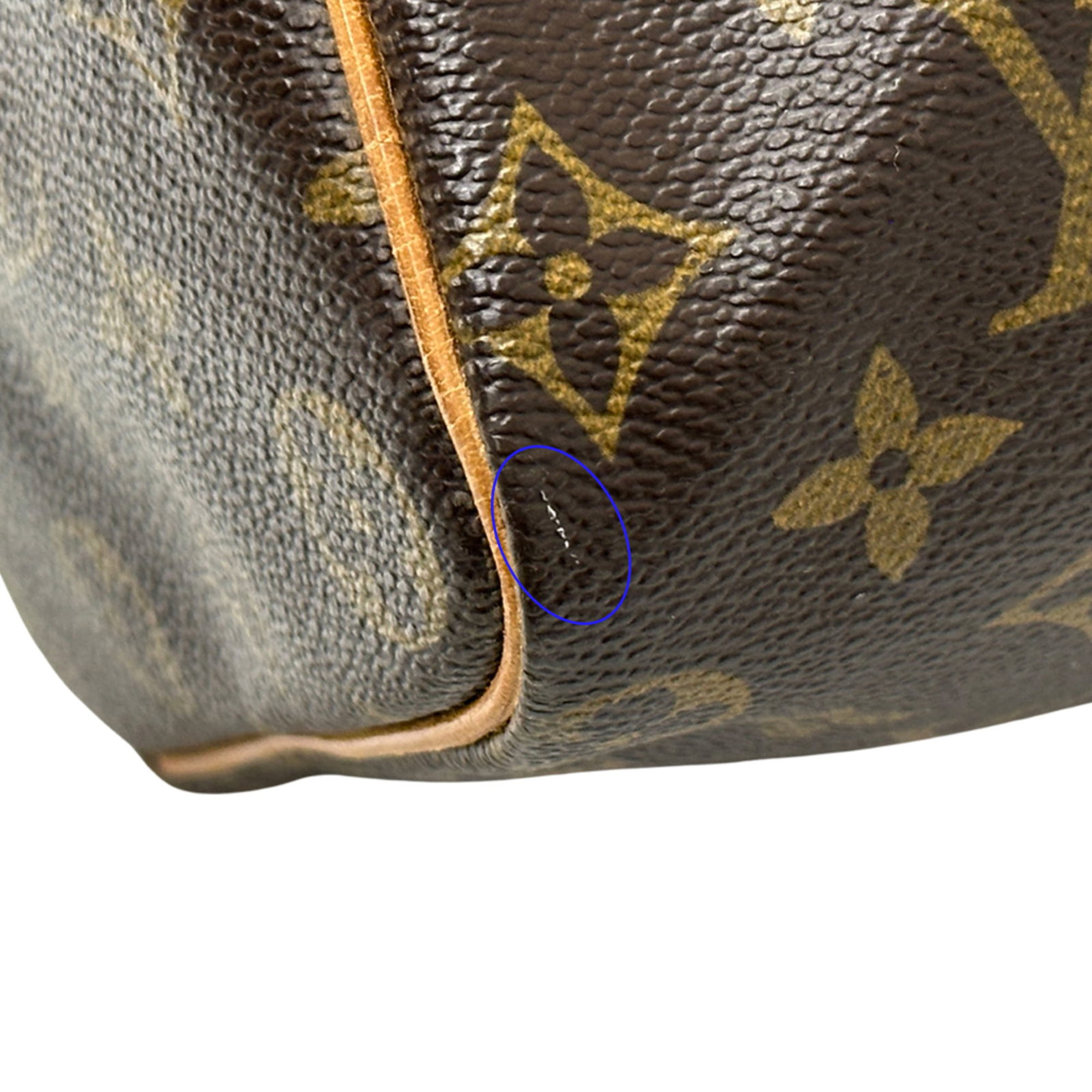 Vuitton Handbag Monogram Louis - 13