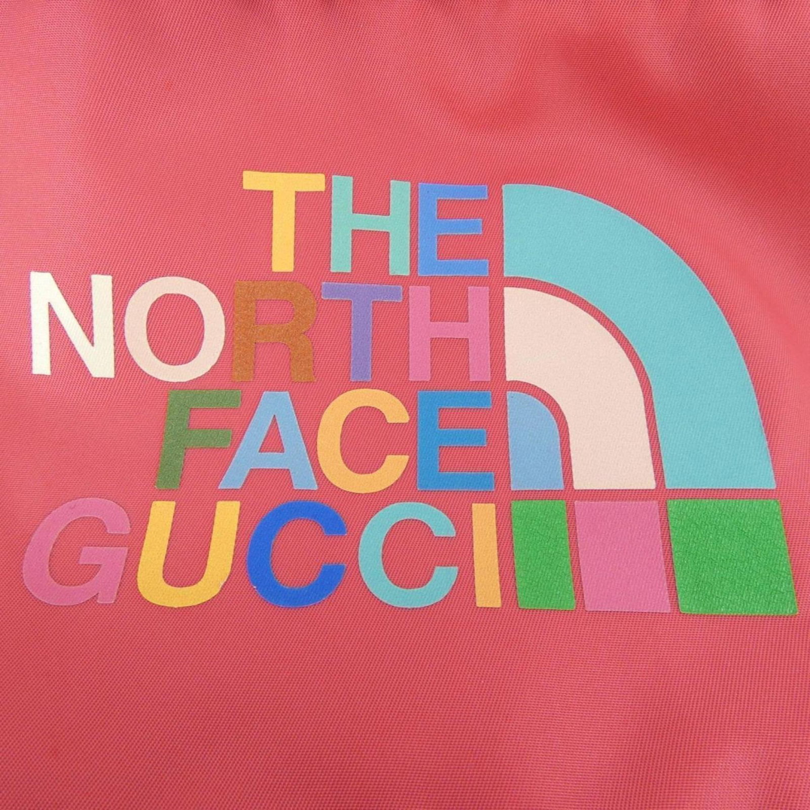 Face North Backpack - 5
