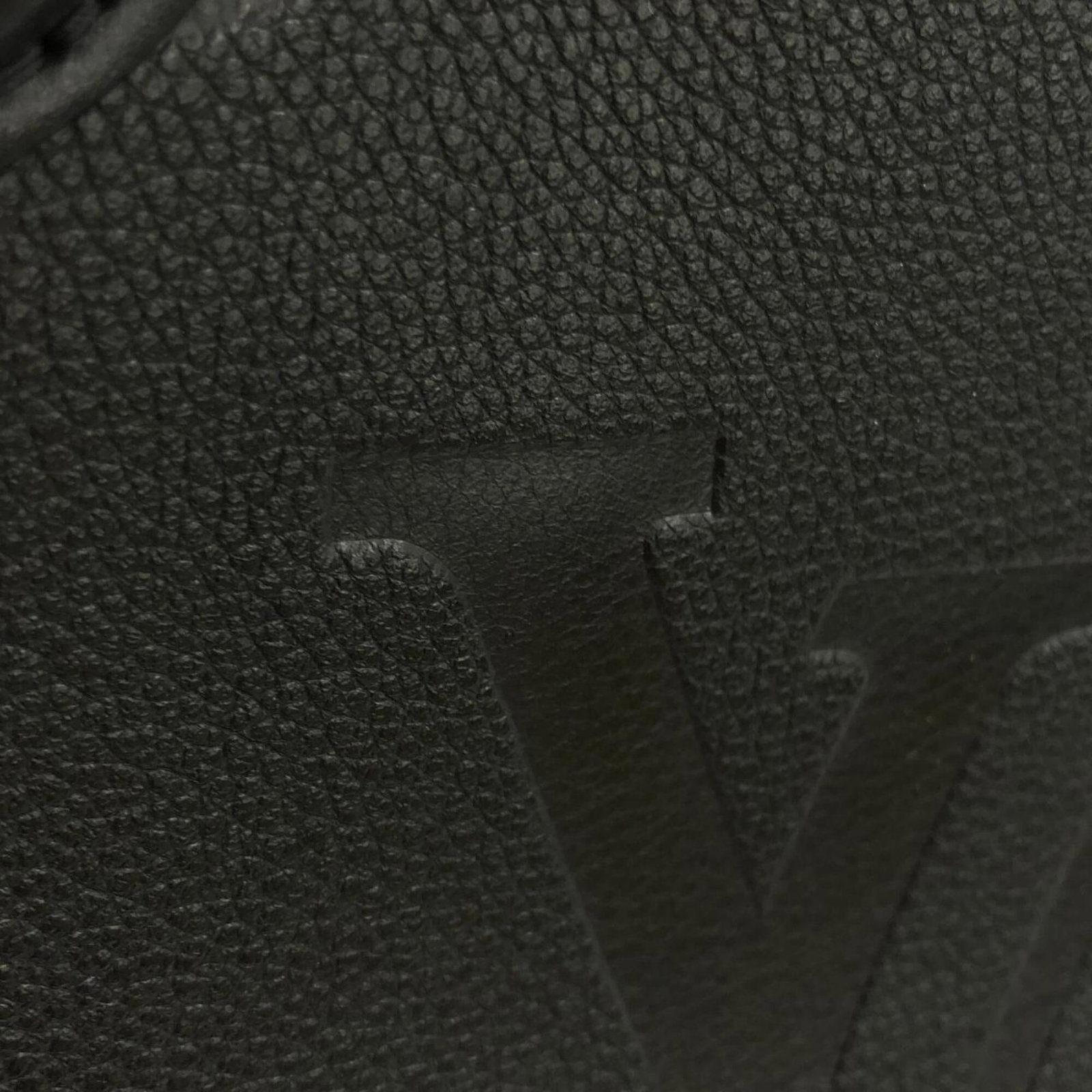 Louis Vuitton Handbag Monogram Empreinte - 6