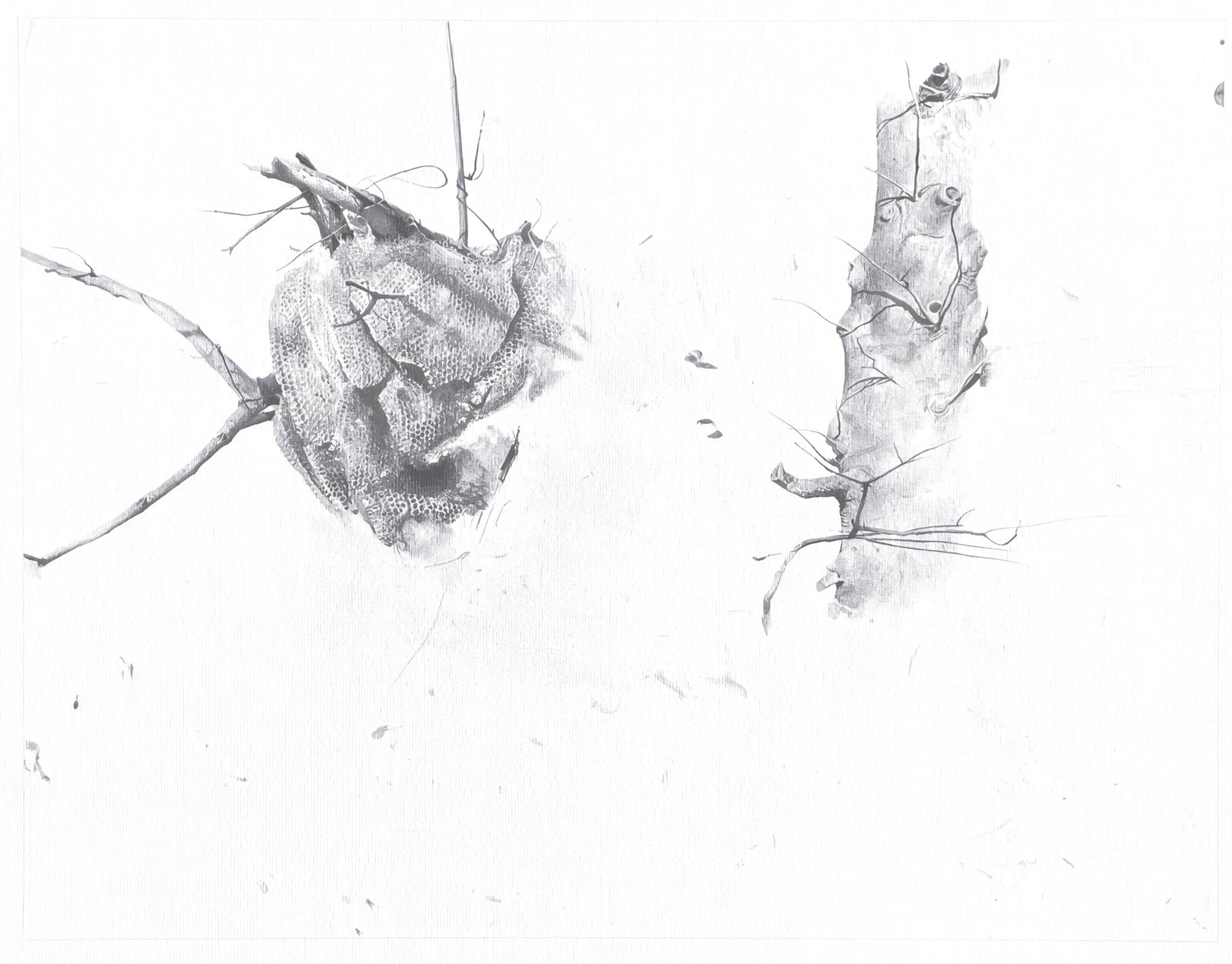 Andrew Wyeth Lithograph 1962 after Storing Up from The Four Seasons: Andrew Wyeth Lithograph 1962 after Storing Up from The Four Seasons Item Specifics: This exquisite lithograph after Andrew Wyeth (19172009), titled Storing Up, originates from the distinguished 1962 f