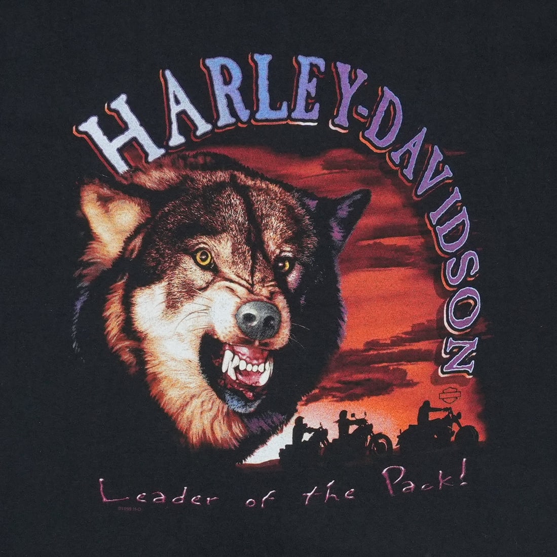 Harley Davidson Leader Pack Shirt - 3