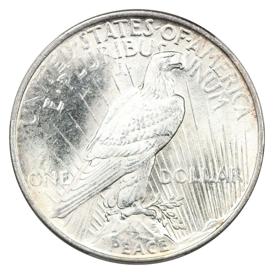 MS64 PEACE DOLLAR PCGS 1924 - 4