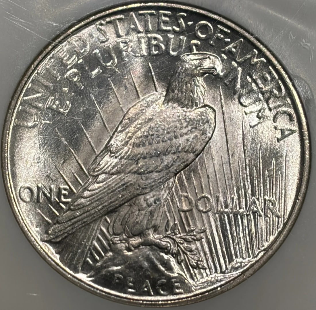1927-D PEACE DOLLAR NGC MS63 CAC - 3