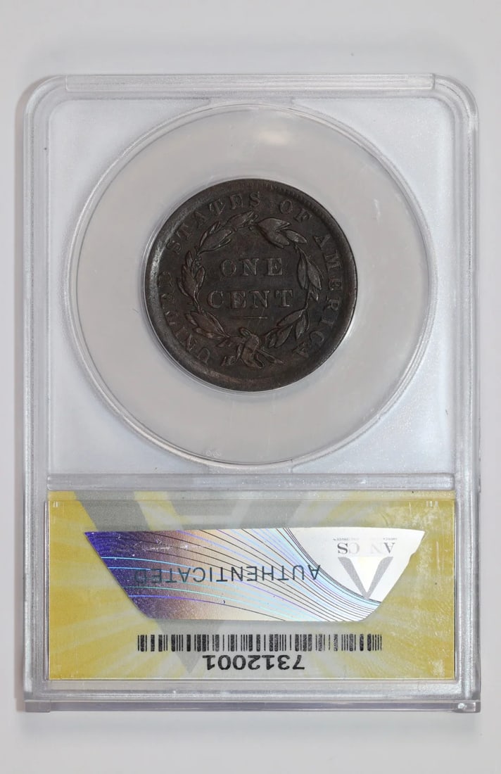 SILLY HEAD LARGE CENT ANACS AU50 - 2
