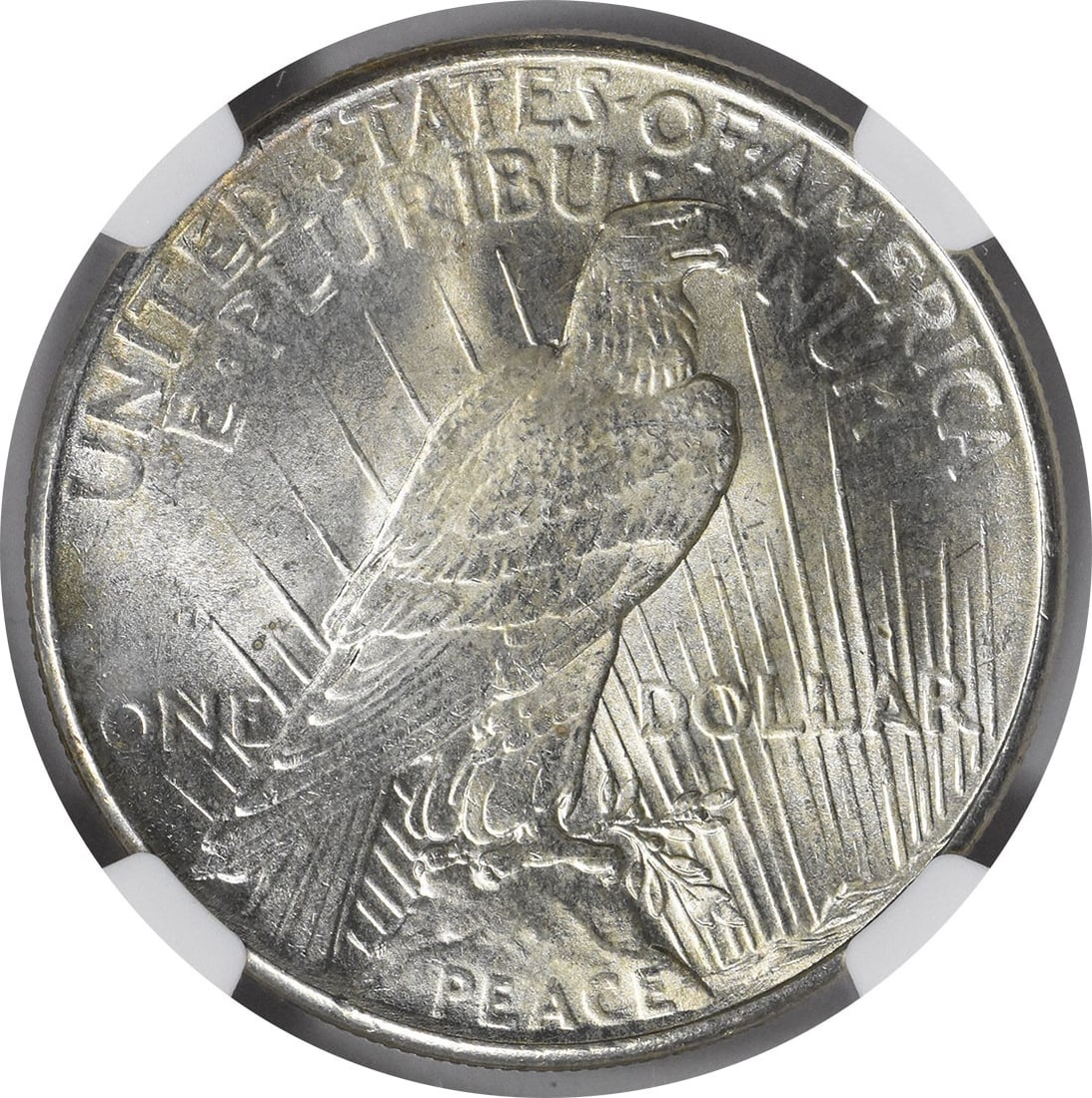 Peace silver dollar MS66+ NGC - 3