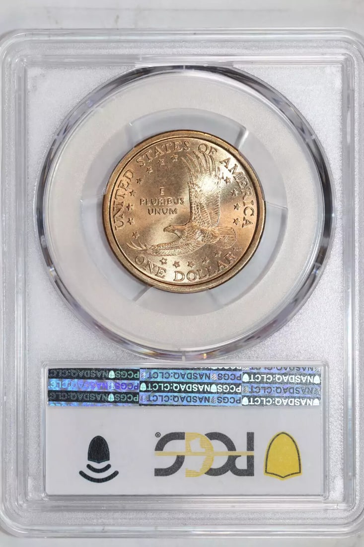 2000-P "WOUNDED EAGLE" SACAGAWEA DOLLAR PCGS MS65 - 2