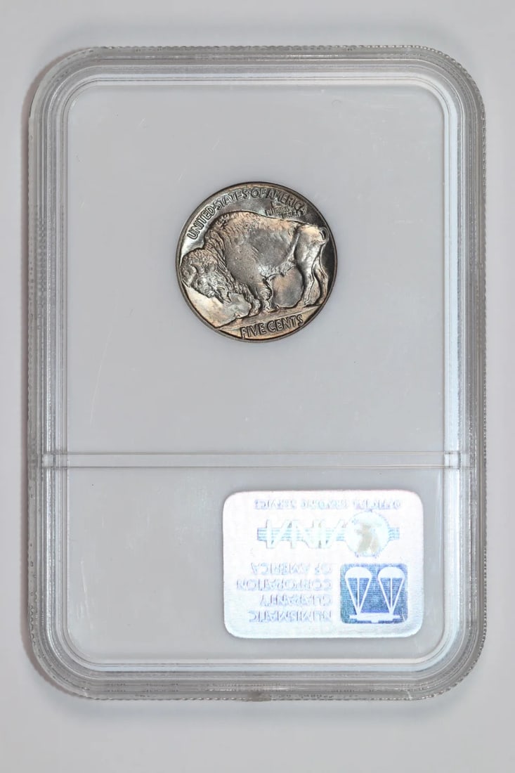 Buffalo Nickel NGC MS64 - 2