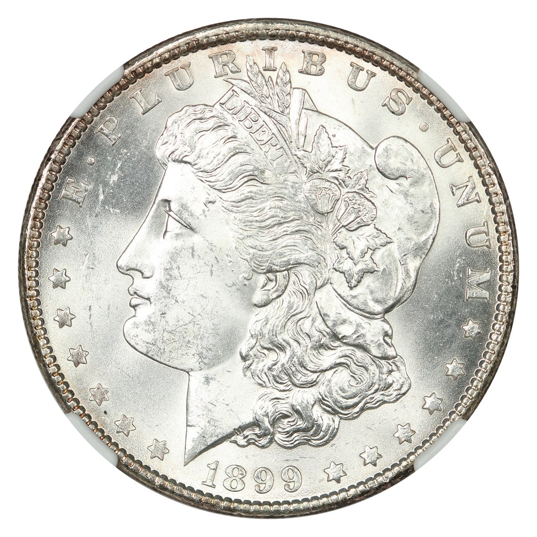 Morgan Dollar 1899 P Mint NGC MS64+ - 3
