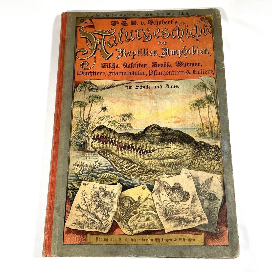 Fish Insects 1st Amphibians by 1886 Dr G H v Schubert (1 of 10)