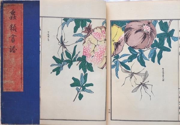 1910 Morimoto Toko Insects Woodblock Print Book Churui Gafu Unsodo: 1910 Morimoto Toko Insects Woodblock Print Book Churui Gafu Unsodo Item Specifics: Artist: Morimoto Toko Subject: Insects Material: Paper Style: Japanese Size: 24 x 16 cm Year Of Production: 1910 Prod