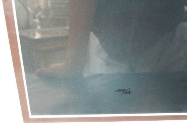 Signed Original Print Bald Eagle Framed By Thomas Mangelsen - 3