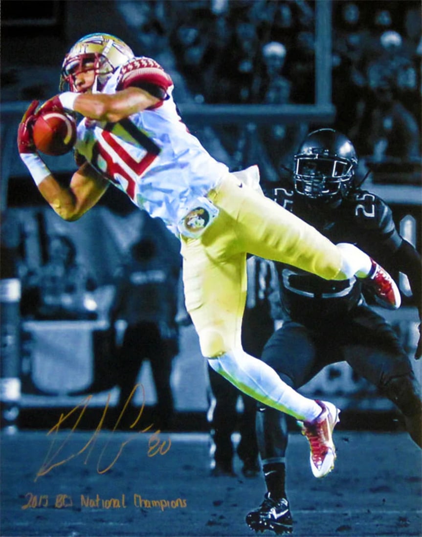 Rashad Greene 2013 BCS National CHampions Autographed 16x20 Spotlight Photo (1 of 1)