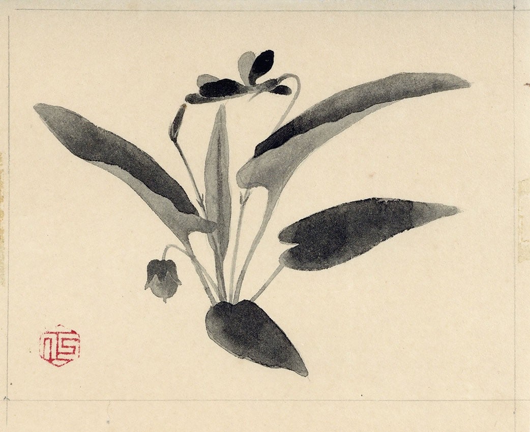 Takayama Tatsuo Japanese signed watercolor original gako nihonga art sketch: Takayama Tatsuo Japanese signed watercolor original gako nihonga art sketch Item Specifics: Artist: Tatsuo Takayama Subject: Nihonga Sketch Material: Watercolor on Japanese Paper Style: Japanese Size: