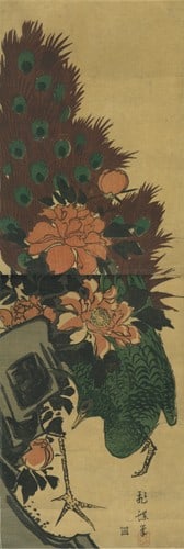 Peacock and Peonies Japanese Woodblock Print Kacho Ga: Peacock and Peonies Japanese Woodblock Print Kacho Ga Item Specifics: Subject: Birds and Flowers Material: Paper Style: Japanese Product Disclaimer: Please review the full description and photos. Lith