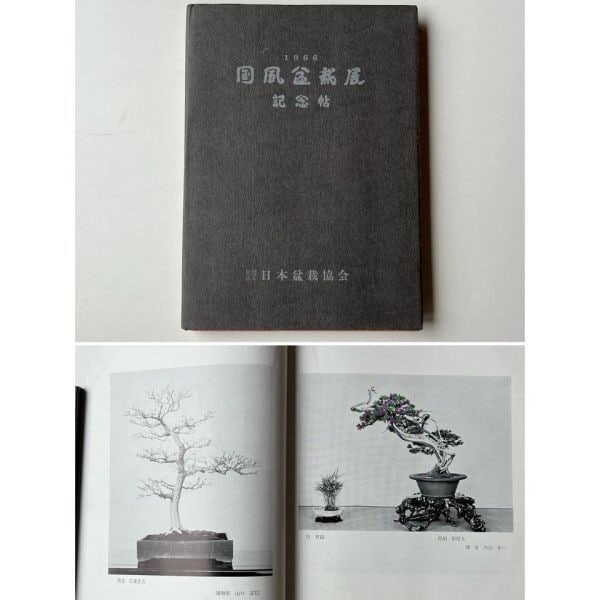 Kokufu Bonsai Ten Japan 40th 1966 Exhibition Commemorative (1 of 9)