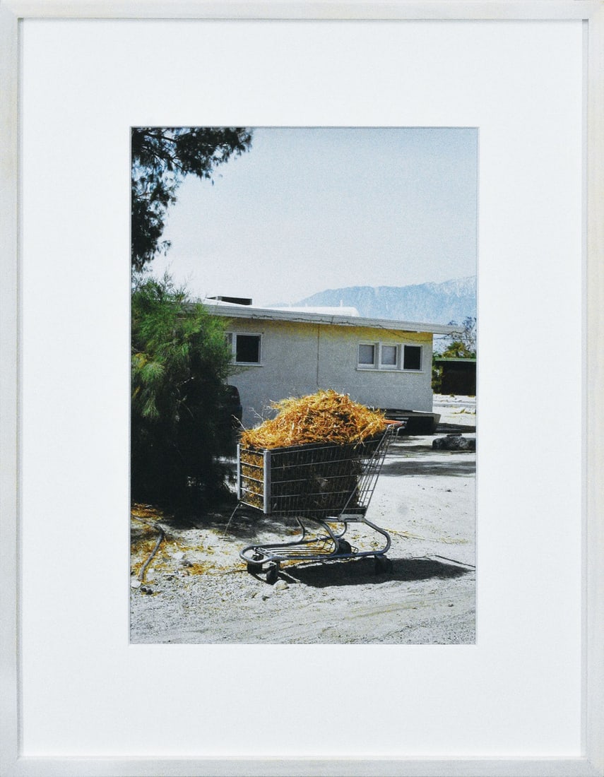 Peter Sutherland Signed Lambda Print Sad Groceries 2009 AP Gallery Target - 2