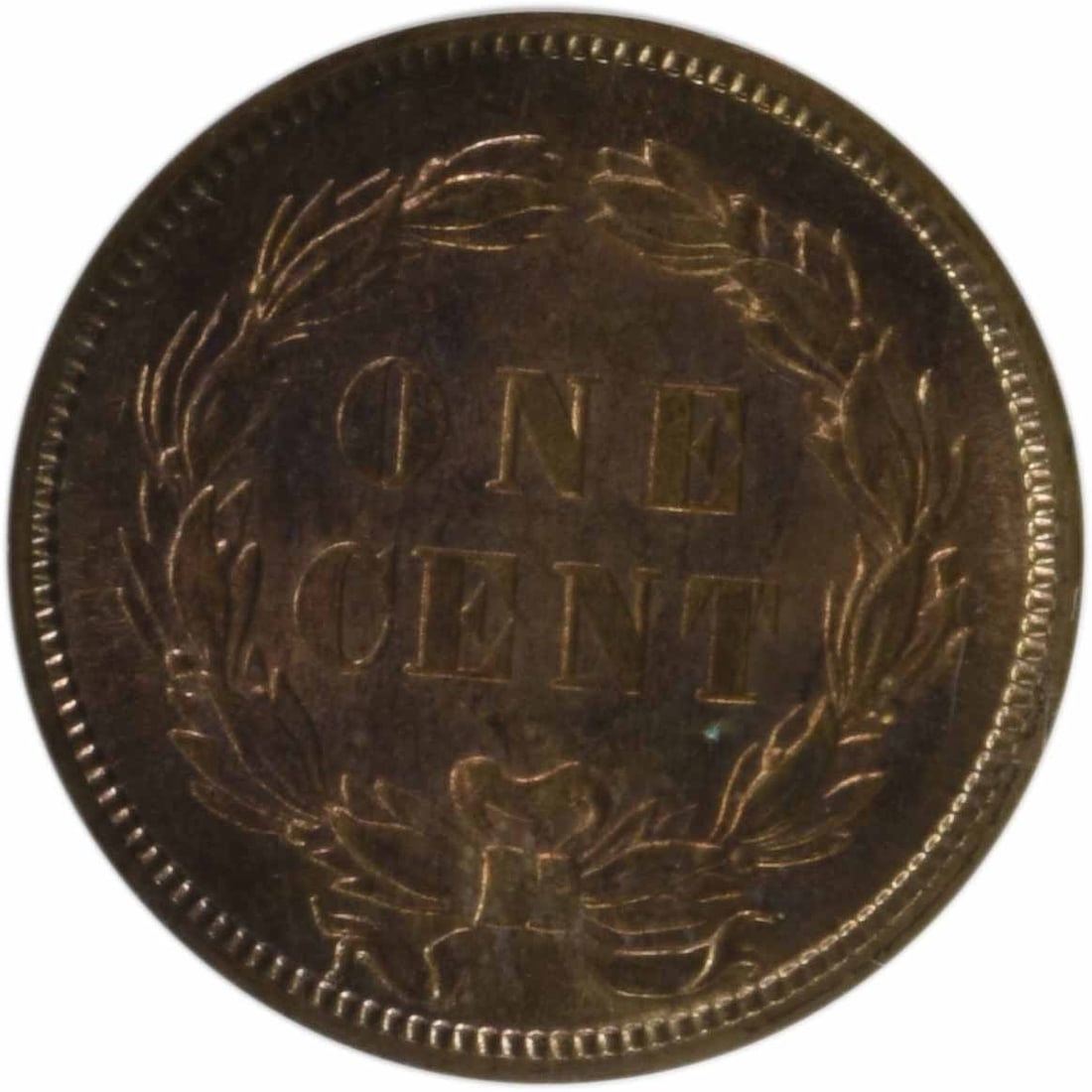 INDIAN CENT MS65 NGC - 3