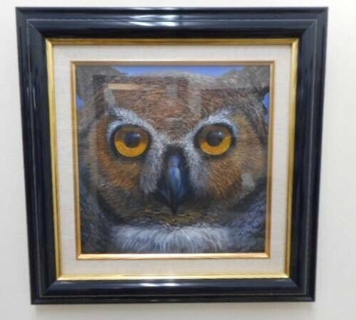 Charles Lynn Bragg Owl Framed Signed Acrylic Painting Unique (1 of 3)