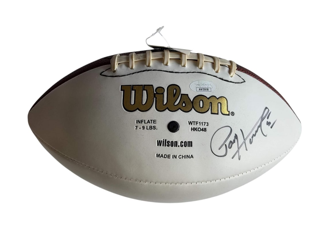 Paul Hornung Autographed Wilson White Panel Football (JSA): Paul Hornung Autographed Wilson White Panel Football (JSA) Signed in black sharpie across the front of the Wilson White Panel Football by Paul Hornung, this rare football bears the signature of a lege