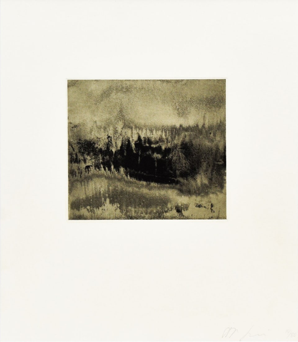 Anish Kapoor "Blackness from Her Womb 6" Etching Limited 30 2000: Anish Kapoor "Blackness from Her Womb 6" Etching Limited 30 2000 Item Specifics: Primary Material: Paper Type: Japanese Woodblock Print Color: Multi-Color Original/Reproduction: Antique Original Featu